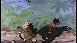The Jungle Book picture