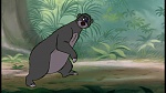 The Jungle Book picture