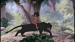 The Jungle Book picture