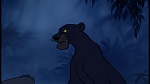 The Jungle Book picture