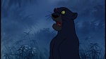 Image The Jungle Book