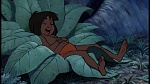 The Jungle Book picture