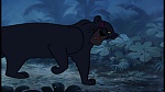 The Jungle Book picture