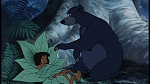 The Jungle Book picture