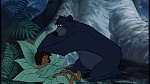 The Jungle Book picture