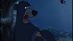 The Jungle Book picture