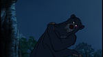 The Jungle Book picture