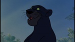 The Jungle Book picture
