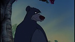 The Jungle Book picture