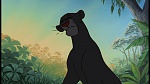 The Jungle Book picture