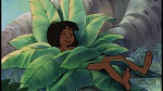 The Jungle Book picture