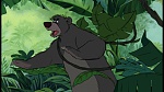 The Jungle Book picture