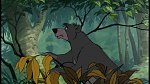 The Jungle Book picture