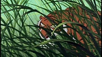 The Jungle Book picture