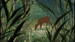 The Jungle Book picture