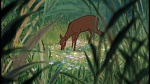 The Jungle Book picture