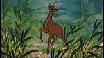 The Jungle Book picture