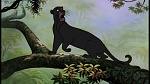 The Jungle Book picture