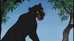 The Jungle Book picture