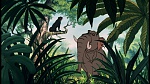 The Jungle Book picture