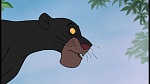 The Jungle Book picture