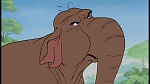 Image The Jungle Book