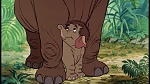 The Jungle Book picture