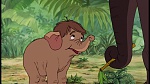 Image The Jungle Book