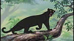 The Jungle Book picture