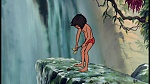The Jungle Book picture