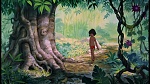 The Jungle Book picture