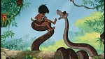 The Jungle Book picture