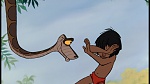 The Jungle Book picture