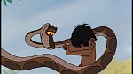 Image The Jungle Book