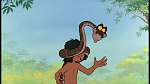 Image The Jungle Book