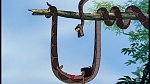The Jungle Book picture