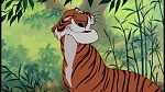 The Jungle Book picture