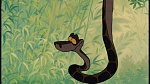 The Jungle Book picture