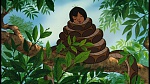 The Jungle Book picture