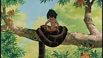 Image The Jungle Book
