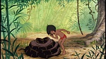 The Jungle Book picture