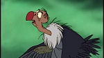 The Jungle Book picture