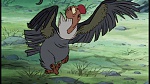 The Jungle Book picture