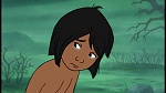 The Jungle Book picture