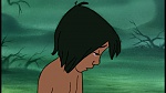 The Jungle Book picture