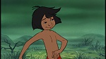 The Jungle Book picture