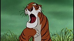 Image The Jungle Book