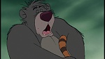 The Jungle Book picture