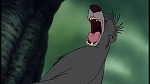The Jungle Book picture