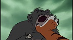 The Jungle Book picture